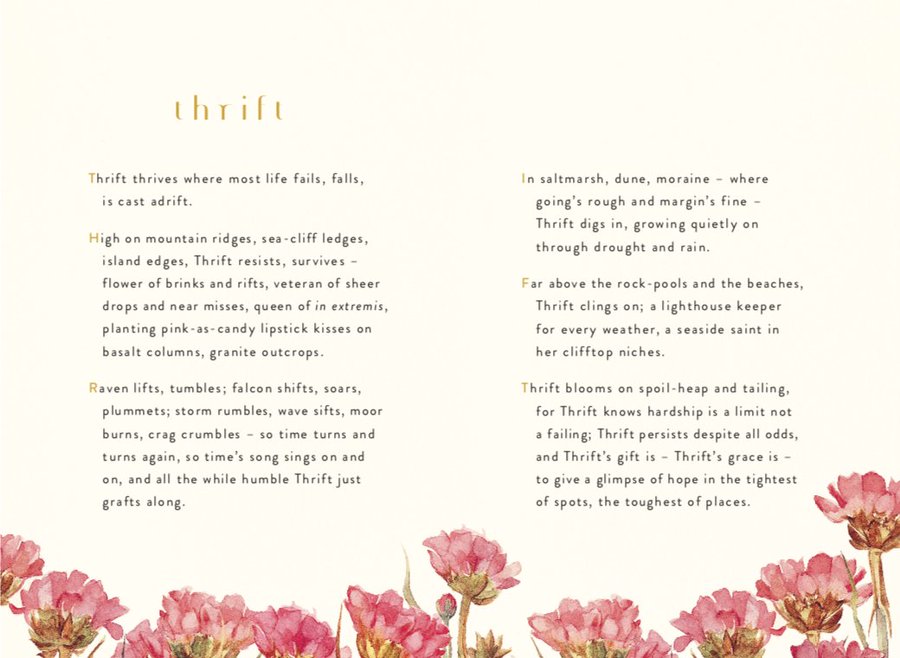 Poem 'Thrift' by Robert Macfarlane